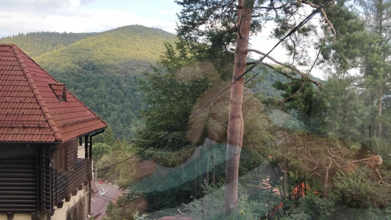 ホテル Casa Adina シナヤ エクステリア 写真